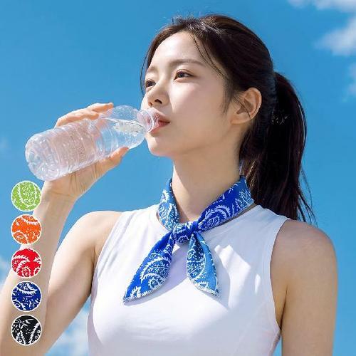 이미지 BP