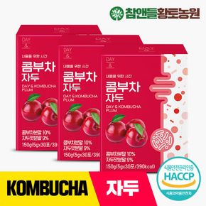 데이앤 콤부차 자두 5g 30포 3박스[32200887]