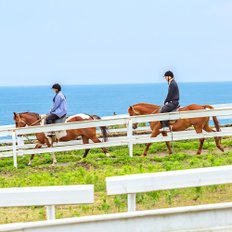 제주 중문승마공원 승마체험_2매 이상 구매 필수