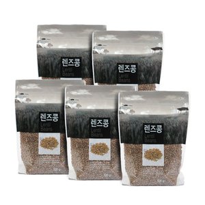 두보식품 렌즈콩 500g 5봉 (총2.5kg 렌틸콩 Lentil Beans)