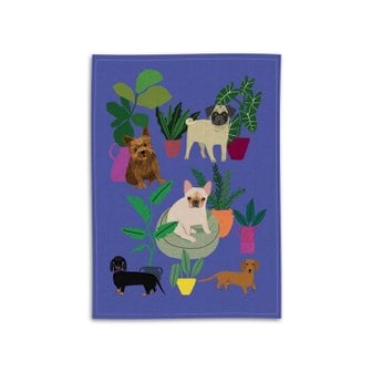 피숀 [Avenida Home(아베니다홈)]CATS&DOGS  티타올(컬러 2종)