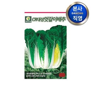 CR대성 엇갈이 배추씨앗 500g . 원예 채소 야채 텃밭 주말 농장 씨 종자