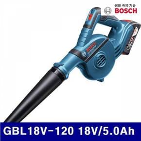 보쉬 충전송풍기 5182318 GBL18V-120 18V/5.0Ah 17 000RPM 1EA