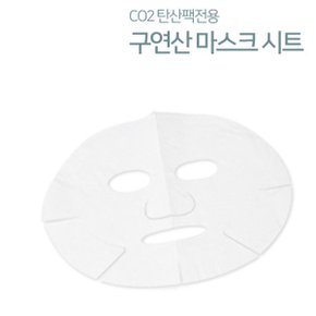 Co2 구연산 마스크 시트 1장_P091017908