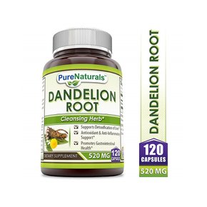 [해외직구] 민들레 뿌리 Pure Naturals Dandelion Root Dietary 520Mg 120정