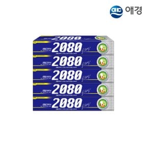 2080 클래식 치약 170g X 5개