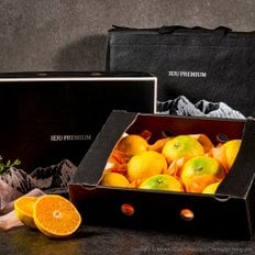 제주직송  황금향 선물용 2.5kg 대과 6-9과+부직포가방