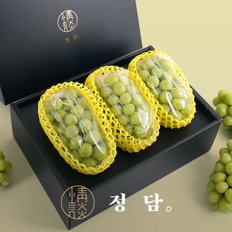 [SSG상품권증정이벤트][SSG 정담][16birx이상당도선별] 프리미엄 샤인머스켓 선물세트 2.4kg (3송이/에어포장)