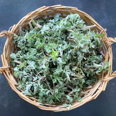 인정식탁 [오늘의채소] 자연산 쑥 100g 내외 x 2팩