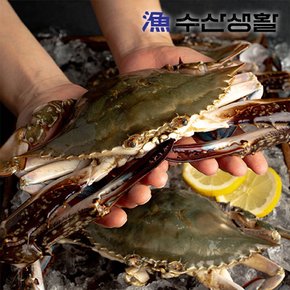 [수산생활] 신진도 활꽃게 3kg 9-15미 암,수 랜덤