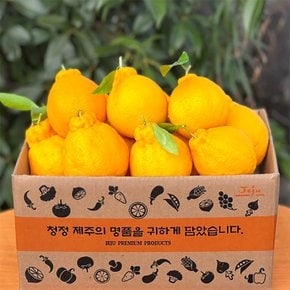 제주직송 한라봉 2.5kg 소과 13-20과