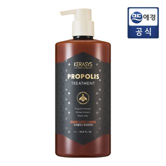 케라시스 프로폴리스 데미지 리페어 트리트먼트 1L  x 1개