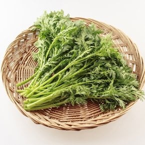 늘바른 국내산 친환경 무농약 쑥갓 150g 10봉