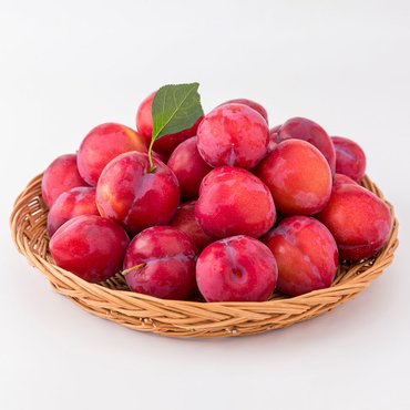 북극곰농수산 올여름 마지막 자두, 의성 추희자두 대과 1kg 7-9입