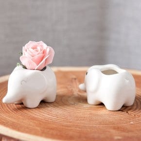 코끼리화분(2pcs) 6x4cm