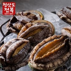 [1월15일부터순차출고][선물용] 청산도 전복 선물세트  1kg (총 7-8마리)