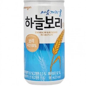 하늘보리 180ml x 30캔 웅진하늘보리 웅진보리