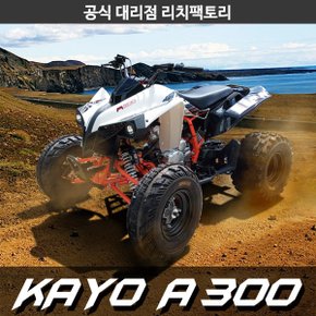 A300 / 카요 A300 [스포츠형/2WD/전후진가능/파워풀]