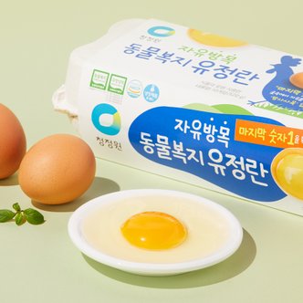 청정원 [1번사육] 청정원 자유방목 동물복지 유정란 10구 (520g)