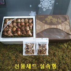 / 선물 참송이버섯 실속형700g+사은품칩30g×2팩