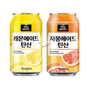 미닛메이드 355ml 레몬에이드5+자몽에이드5 총10캔