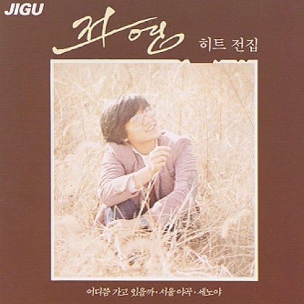 확대된 대표 전영 - 히트전집