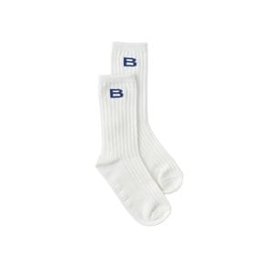 BI베이직단말 (26A19-810-01)
