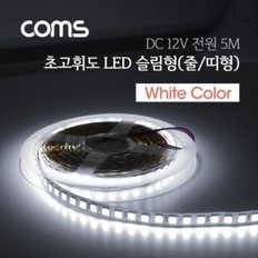 Coms LED 슬림형(줄 띠형) DC 초고휘도 슬림 5M Wh1te