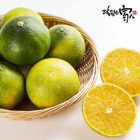 [산지직송]하우스 청귤 500g/1팩