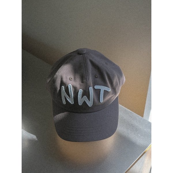 Nice Walk Today Ballcap_Charcoal