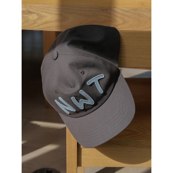 Nice Walk Today Ballcap_Charcoal
