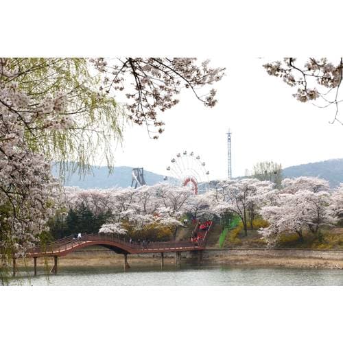 https://media.eoding.com/media/travelagent/40/imagecontent/경주보문관광단지_1_JKQUTYk.jpg
