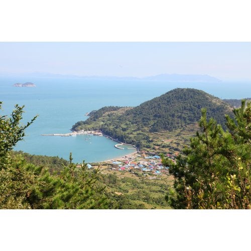 https://media.eoding.com/media/travelagent/40/imagecontent/손죽도_마을_전경f_QTwan3H.JPG
