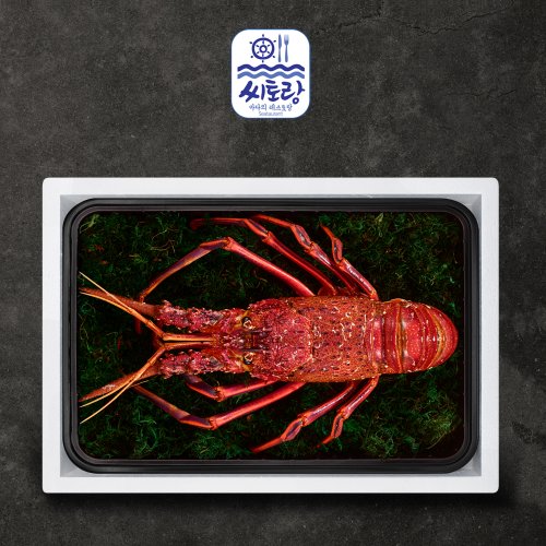 랍스타 1kg - 검색결과 | 쇼핑하우 검색결과 >랍스터가격, 믿고 사는 즐거움 Ssg.Com” style=”width:100%” title=”검색결과 >랍스터가격, 믿고 사는 즐거움 SSG.COM”><figcaption>검색결과 >랍스터가격, 믿고 사는 즐거움 Ssg.Com</figcaption></figure>
<figure><img decoding=