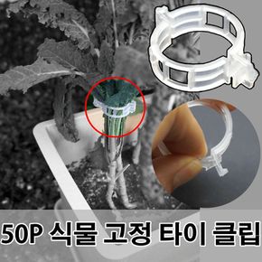 식물지지대 지지대 지주대 화초 나무