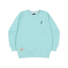 클럽 로고 스웻셔츠 QC 0002 민트 (AQCCRT00020MI)