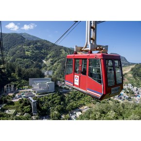 [묵호항or강릉항/3박4일/승우단독] 울릉도+독도+죽도+관음도 올포함 패키지