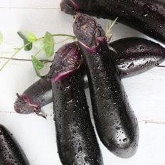 친환경팔도 [팔도농장] 국내산 보랏빛 가지 3kg