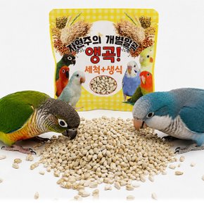 앵무새 세척 볶음 알곡 사료 먹이 간식 기장 조 들깨 씨드 홍화씨 해바라기씨