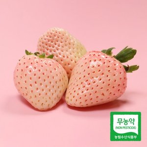 농부들의수확 [무농약인증]하얀 설화 딸기 1kg(특/30구)