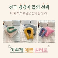 강아지 방석 고양이 쿠션 메모리폼 바디필로우 애견 하우스 토퍼