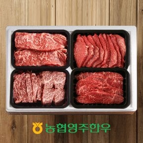 [농협영주한우]1+ 로스특수부위 모듬 한판 4호 / 총 800g (등심200g,갈비살200g,모듬구이200gx2)