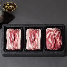 [바로배송][냉장][오늘자연] 한돈 돈육 실속 구이세트 1.2kg (삼겹살 x 2+목살) /팩당 400g