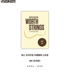 워스 우쿨렐레현(WORTH)소프라노/콘서트/로우G