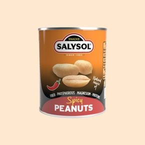살리솔 스파이시 피넛 60g[36098967]