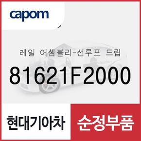 레일-선루프 드립 (81621F2000) 아반떼, 아반떼 하이브리드, 아반떼N