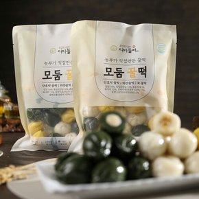 더미들래 모듬 꿀떡 480g x 2봉