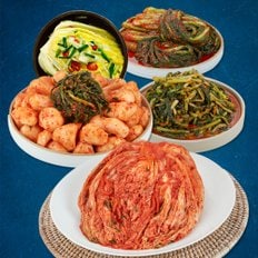 포기김치 1kg 외 총각,열무,갓,백김치 모음