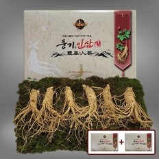 5년근 수삼 500g (6-7뿌리) x 2박스