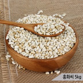 건강알곡 홍화씨 5kg 앵무새 햄스터 소동물 영양간식